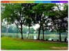 Akashiganga, Arunachal Pardesh
