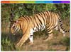 Mehao Wildlife Sanctuary