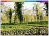 Dibrugarh, Assam