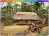 Shanghanyu, Nagaland