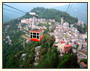 Alpine North Sikkim Tours