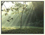 Vaishnavite Tour