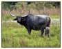 Kingdomes of Arunachal Tour