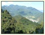 North East India Cultural Tour Packages