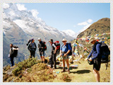 Trek Tshoka to Dzongri 