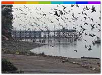 Kumarghat, Tripura